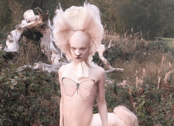 Salvia-diario el diverso.png